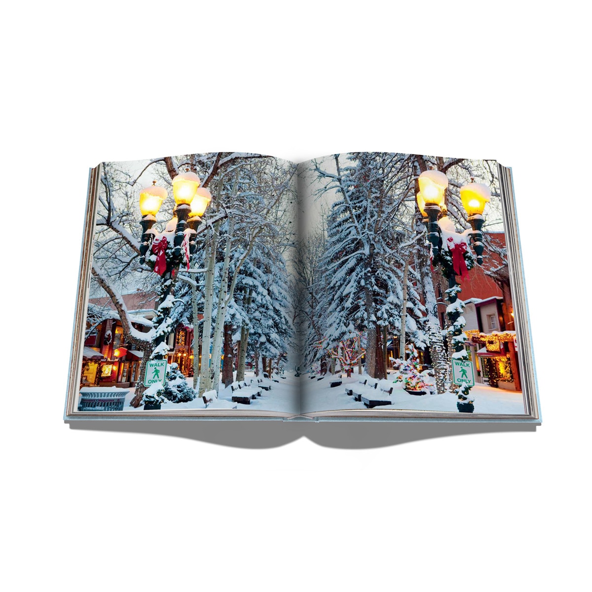 Aspen style 5