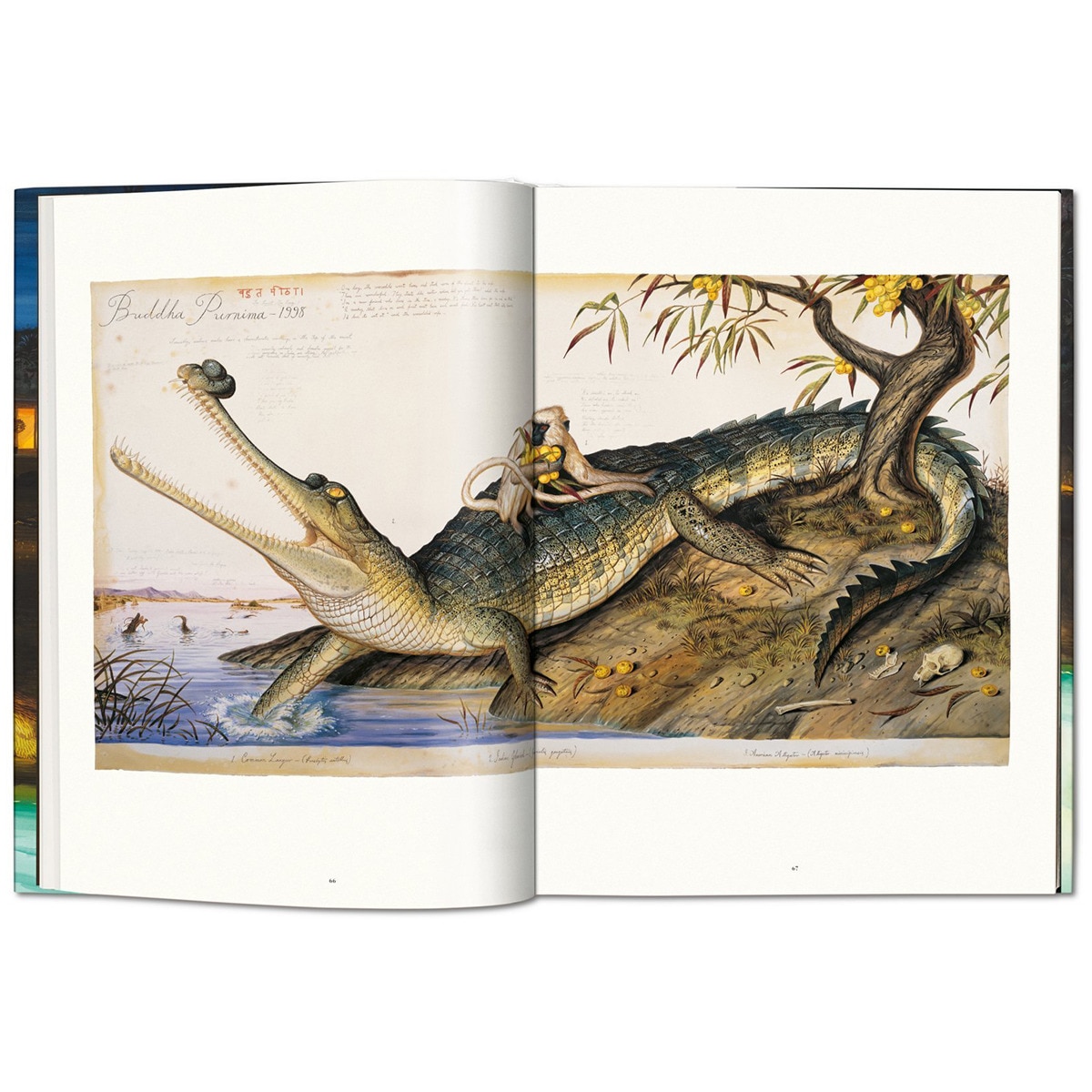 Walton Ford. Pancha Tantra. Updated Edition (Capa dura) 3