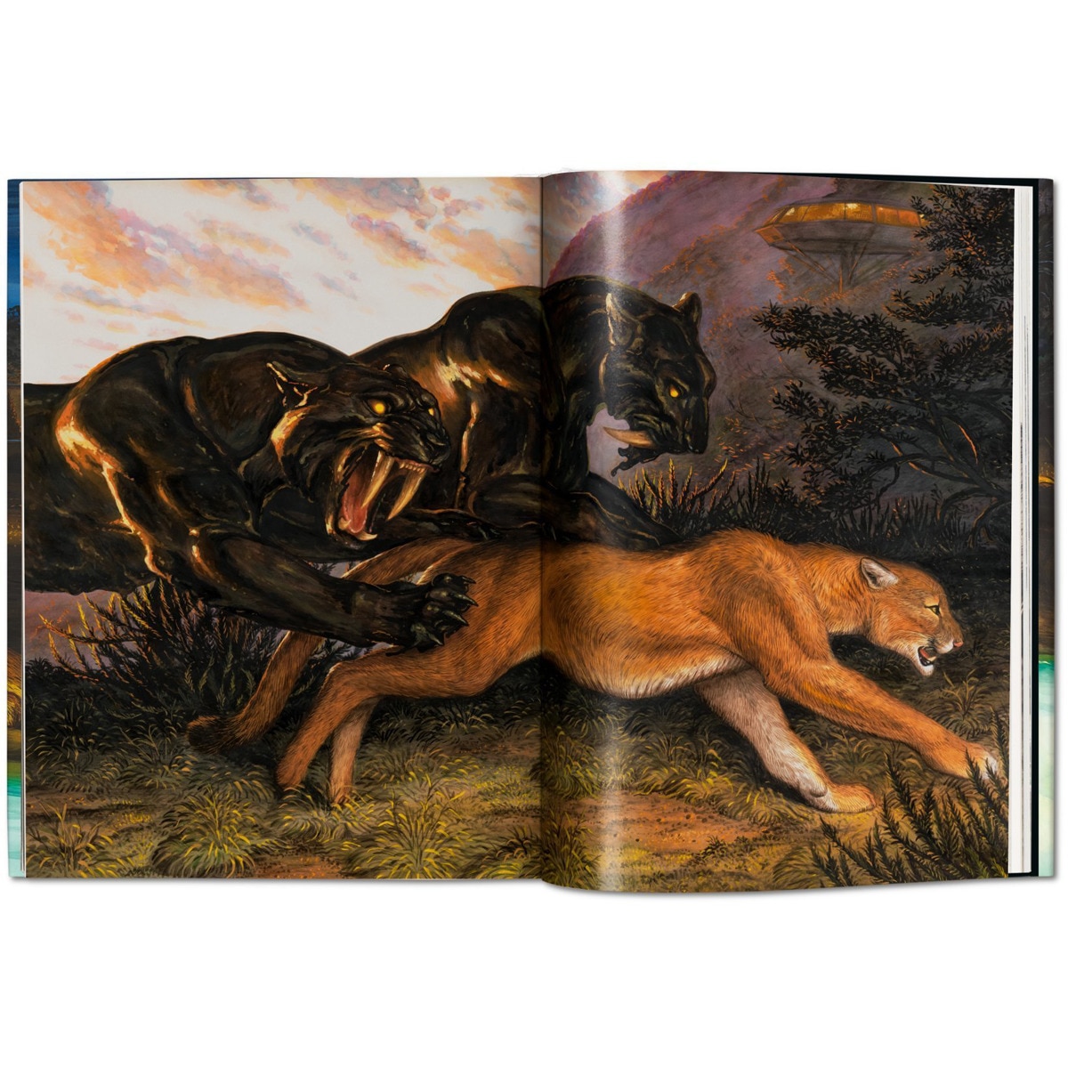 Walton Ford. Pancha Tantra. Updated Edition (Capa dura) 6