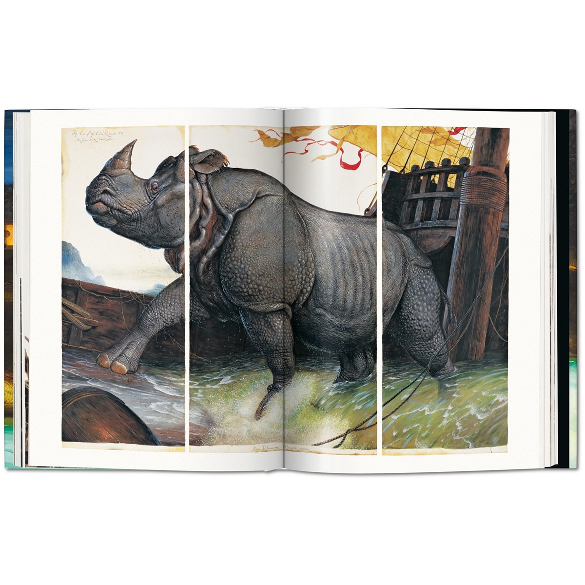 Walton Ford. Pancha Tantra. Updated Edition (Capa dura) 4