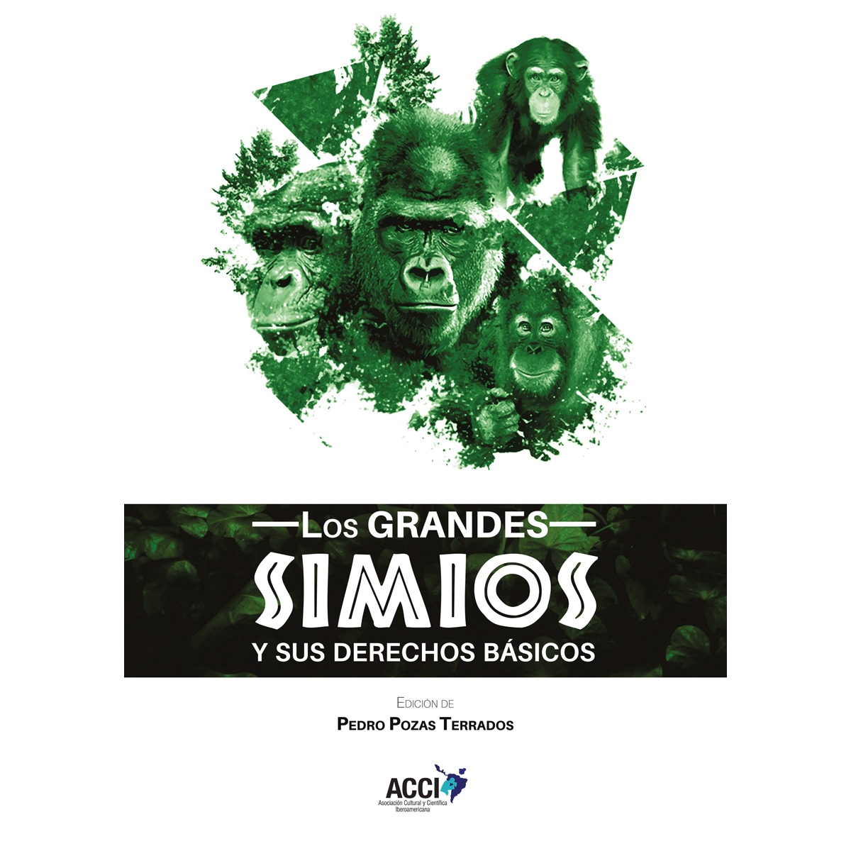 Imagem 0 de Los grandes simios y sus derechos básicos(Tapa blanda)