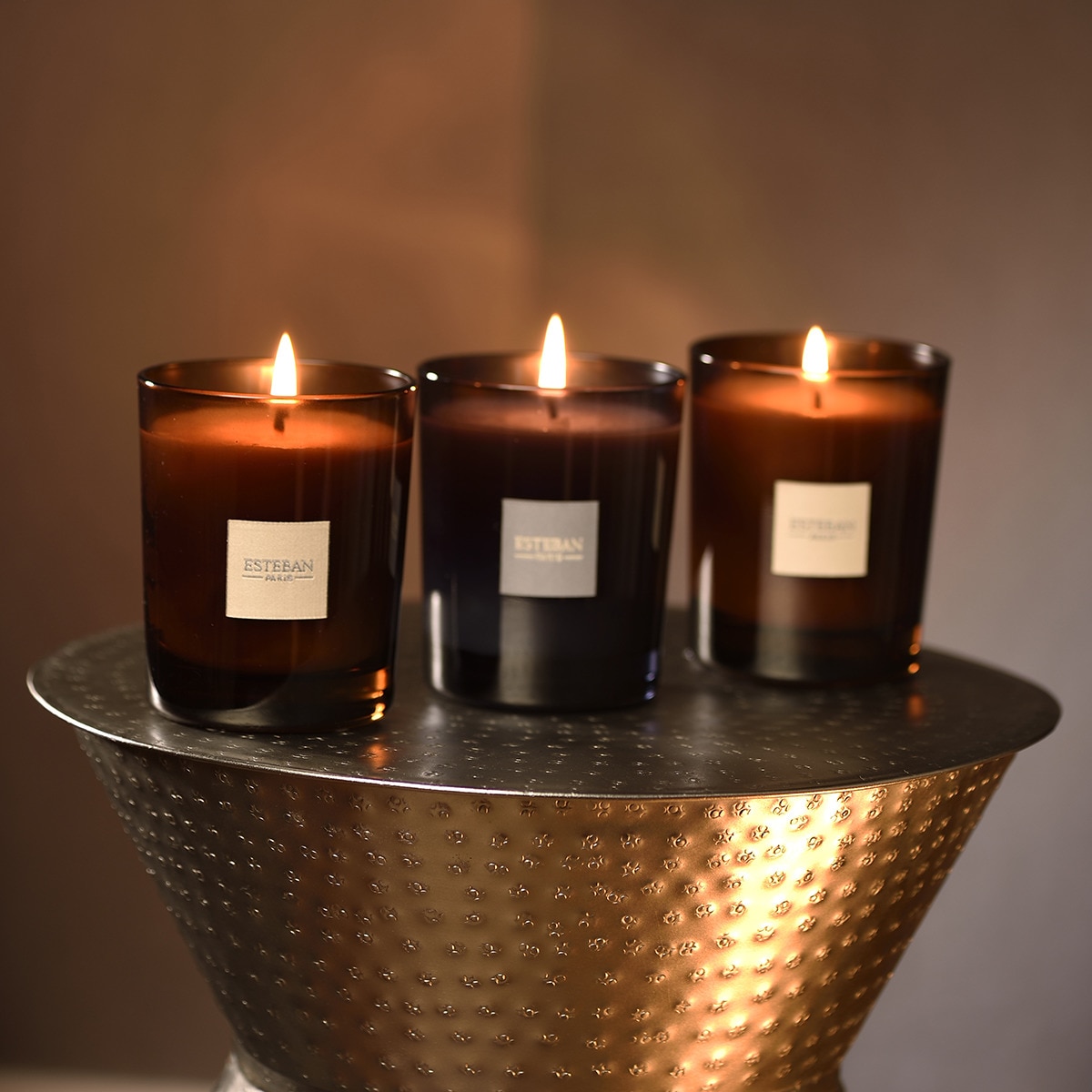Vela perfumada en vaso Figue Noire Esteban Morado-3