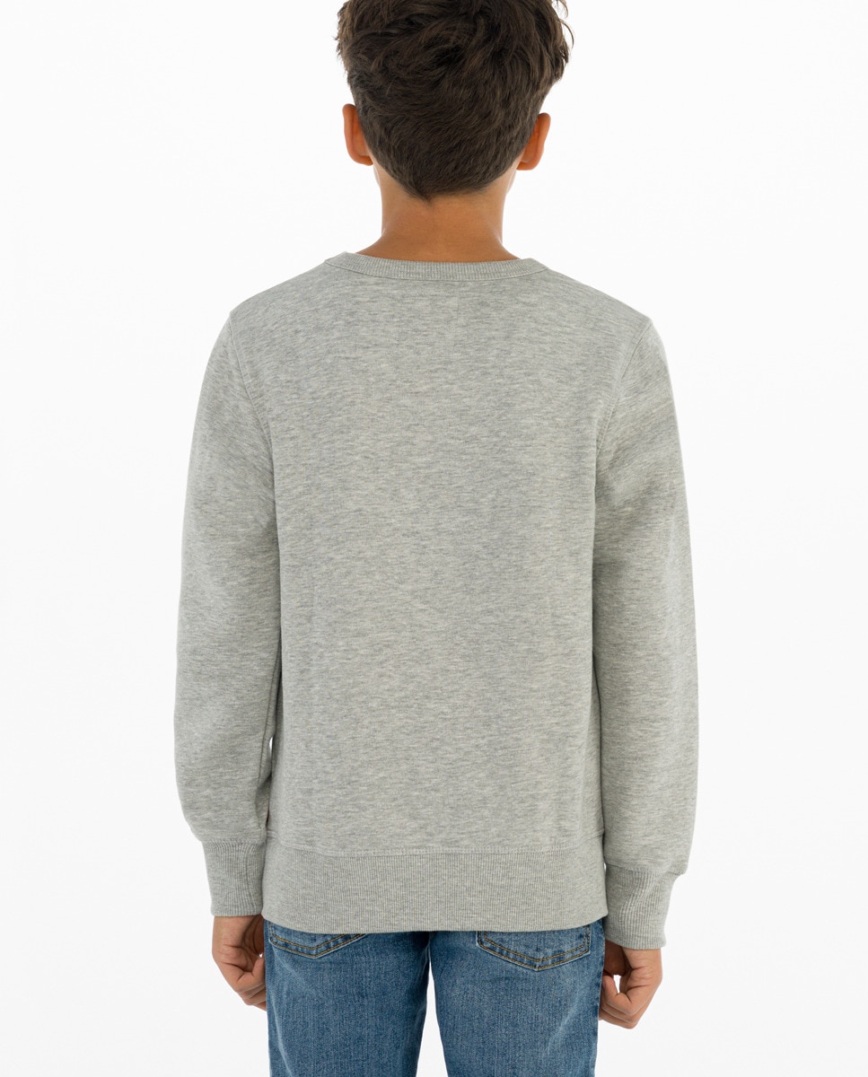 Sweatshirt cinzento vigoré de bebé Cinzento-5