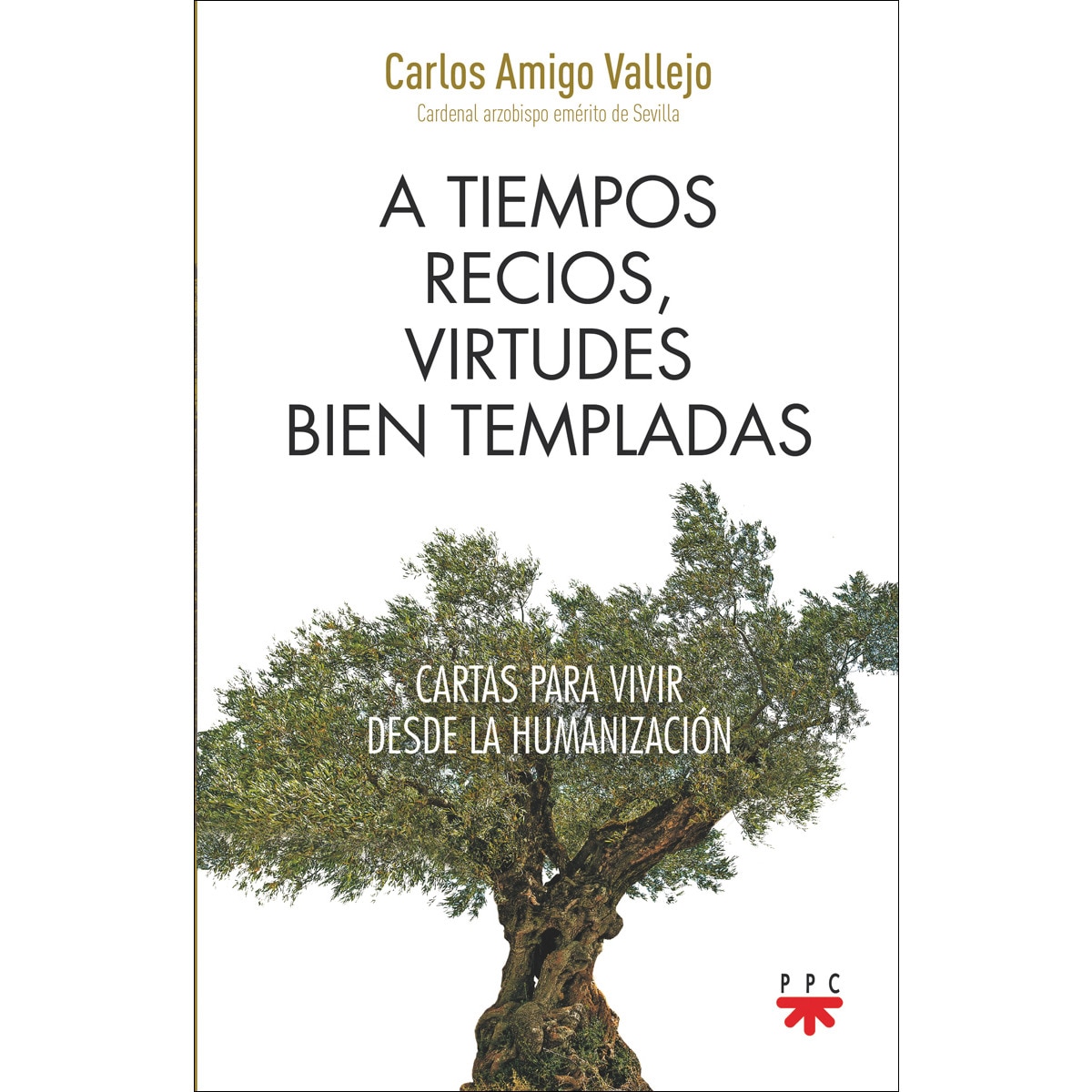 Imagem 0 de A tiempos recios, virtudes bien templadas(Tapa blanda)