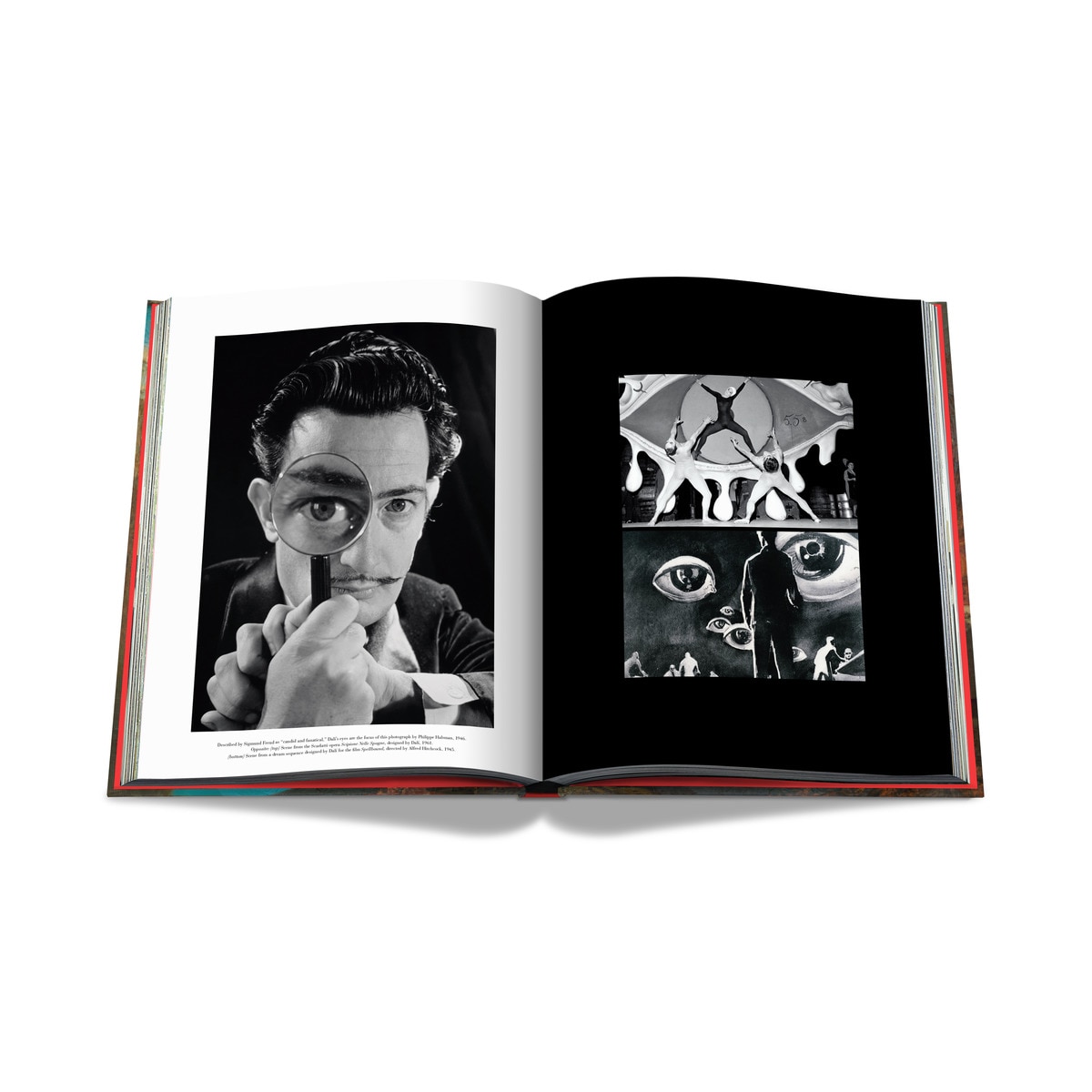 Salvador dalí: the impossible collection 6