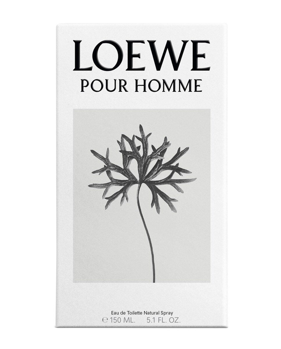 Loewe pour Homme edt - LOEWE - price