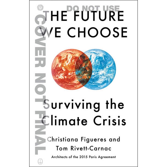 The future we choose 1