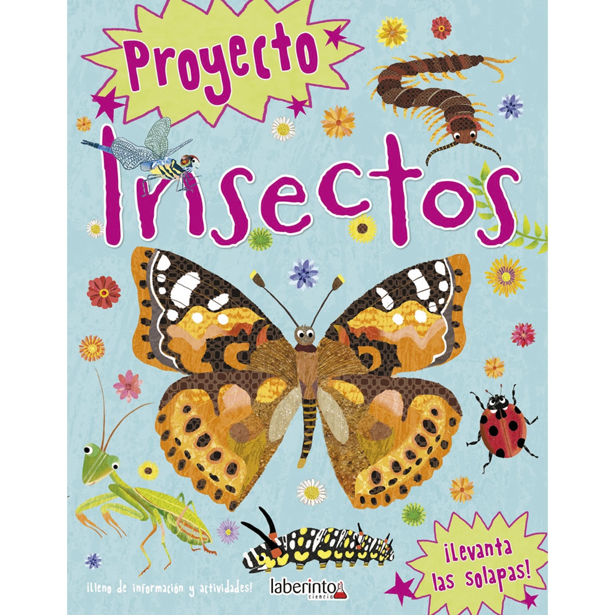 Proyecto Insectos (Capa mole) 1