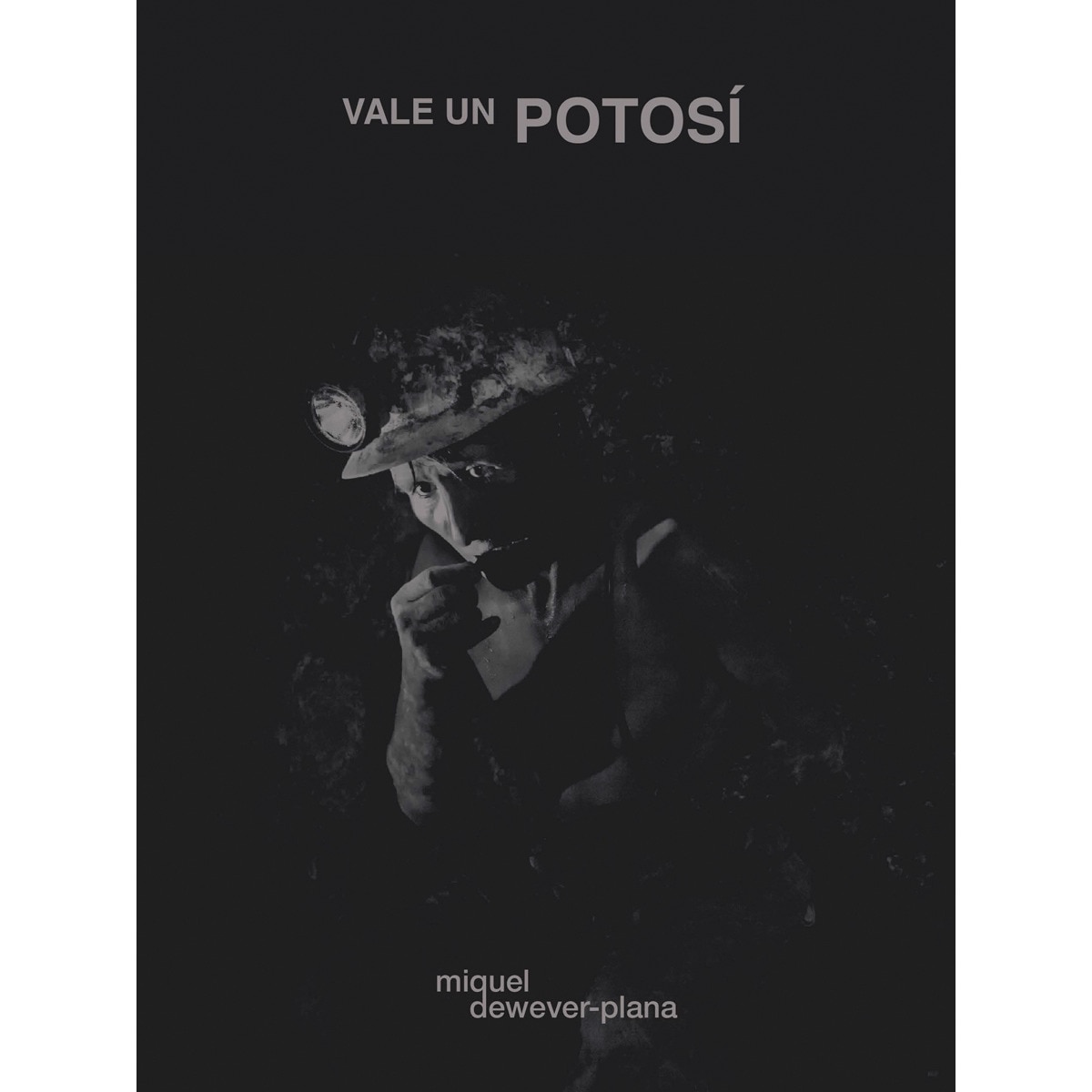 Vale un potosí(Tapa blanda) 1