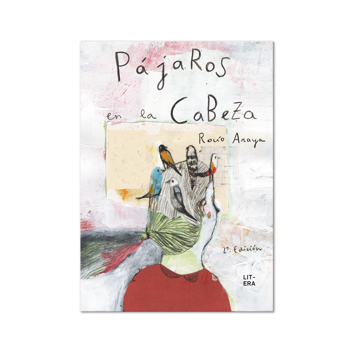 Imagem 0 de Pájaros en la cabeza(Tapa dura)