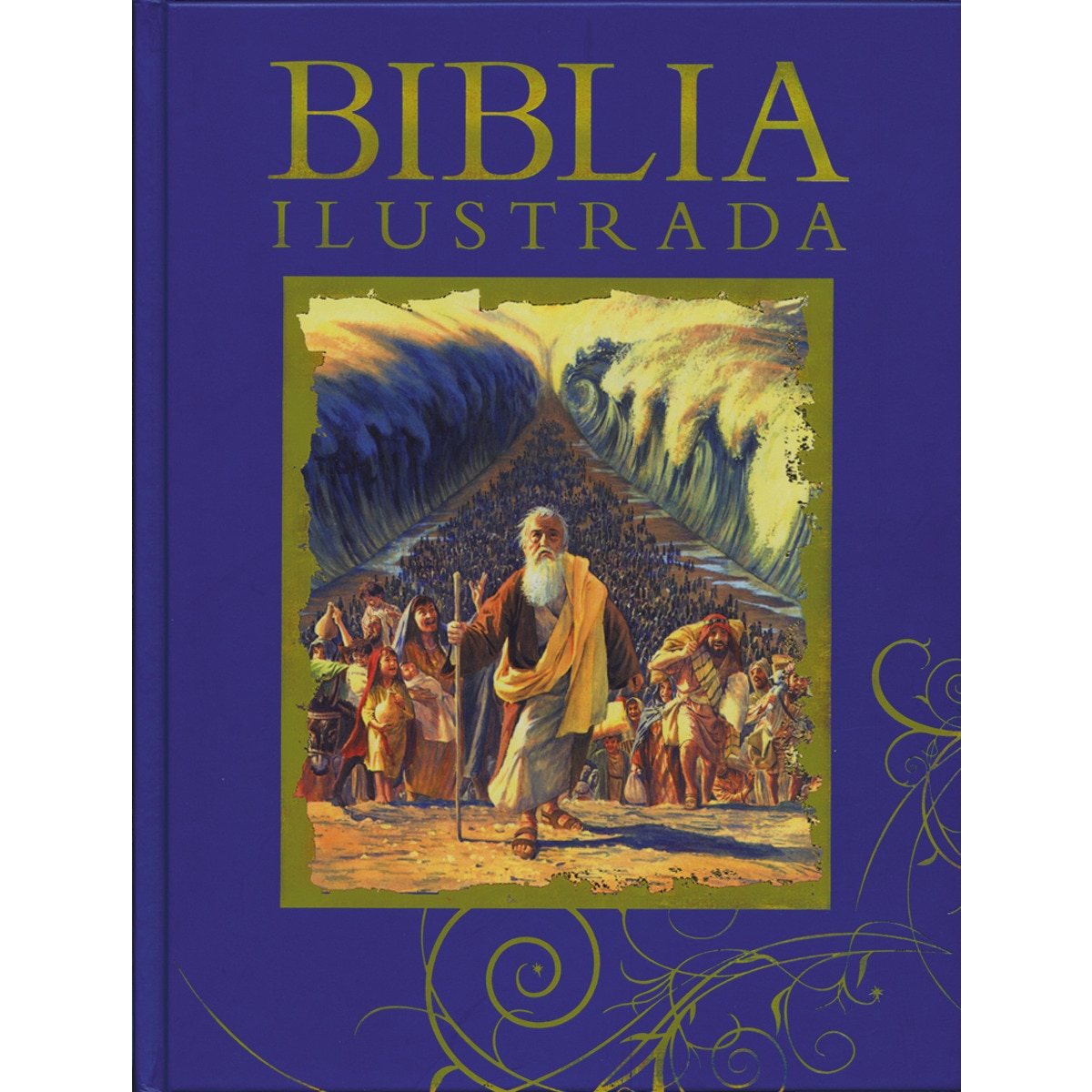 Imagen 0 de Biblia ilustrada