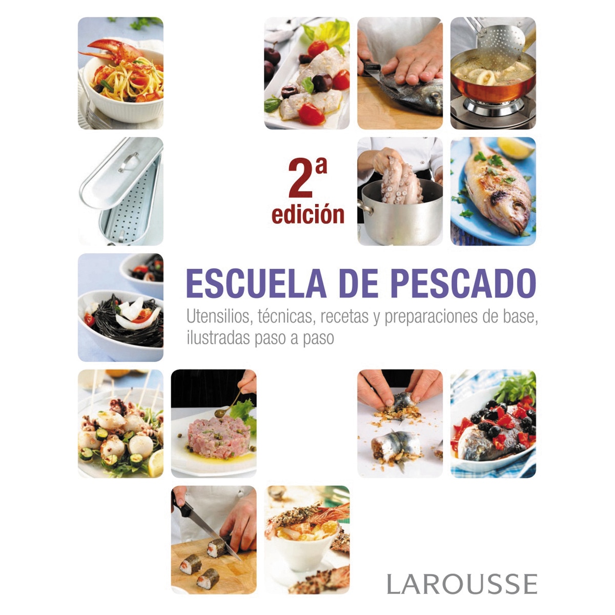 Escuela de pescado (Capa mole com abas) 1