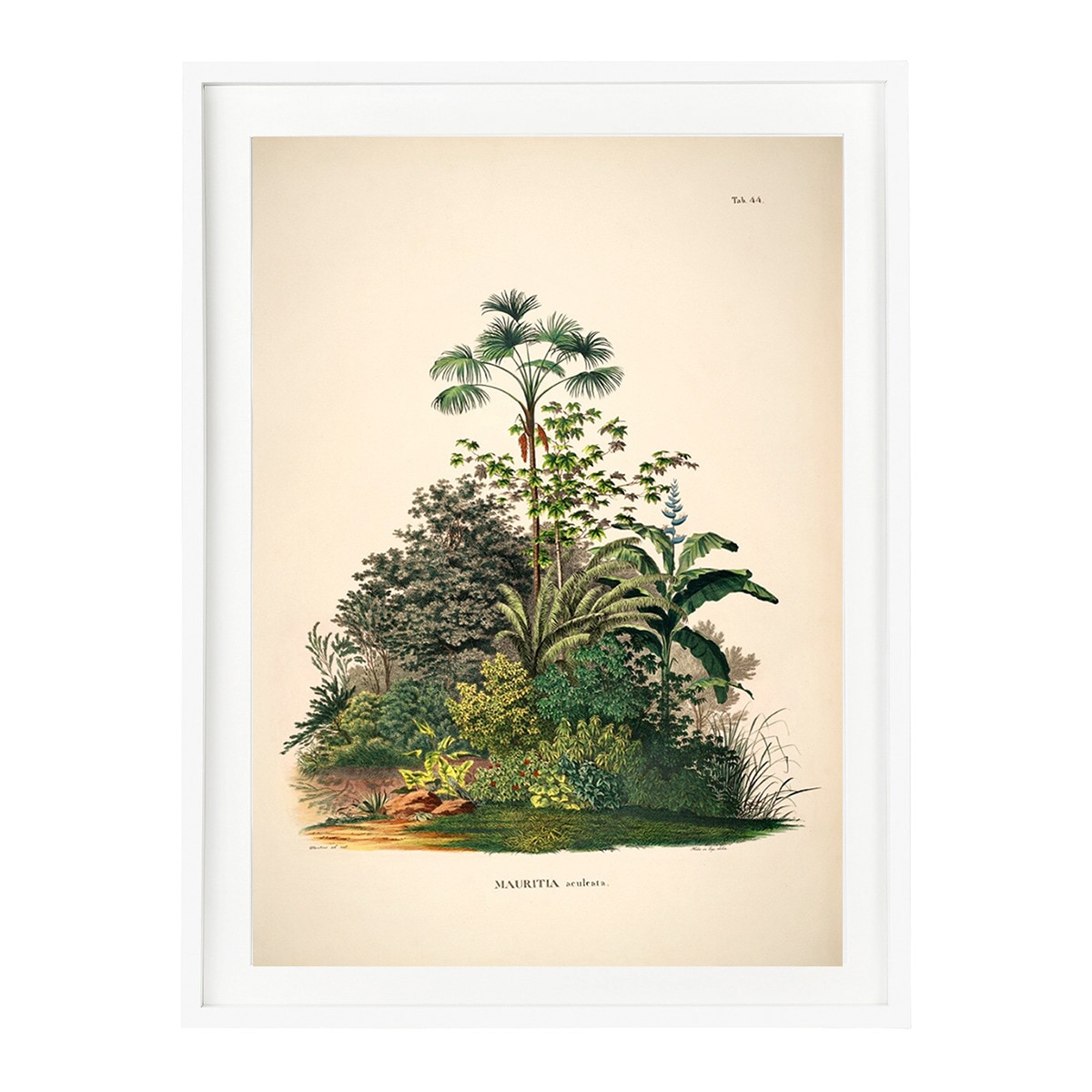 Impressão Palmeiras Selva The Dybahl + Moldura Thor Branco-1