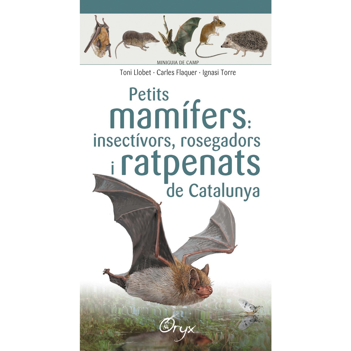 Imagem 0 de Petits mamífers: insectívors, rosegadors i ratpenats de Catalunya (Capa mole)