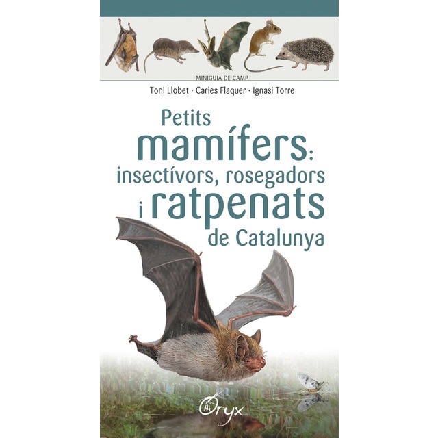 Imagen 0 de Petits mamífers: insectívors, rosegadors i ratpenats de Catalunya  (Tapa blanda)