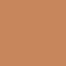 Cork Cork