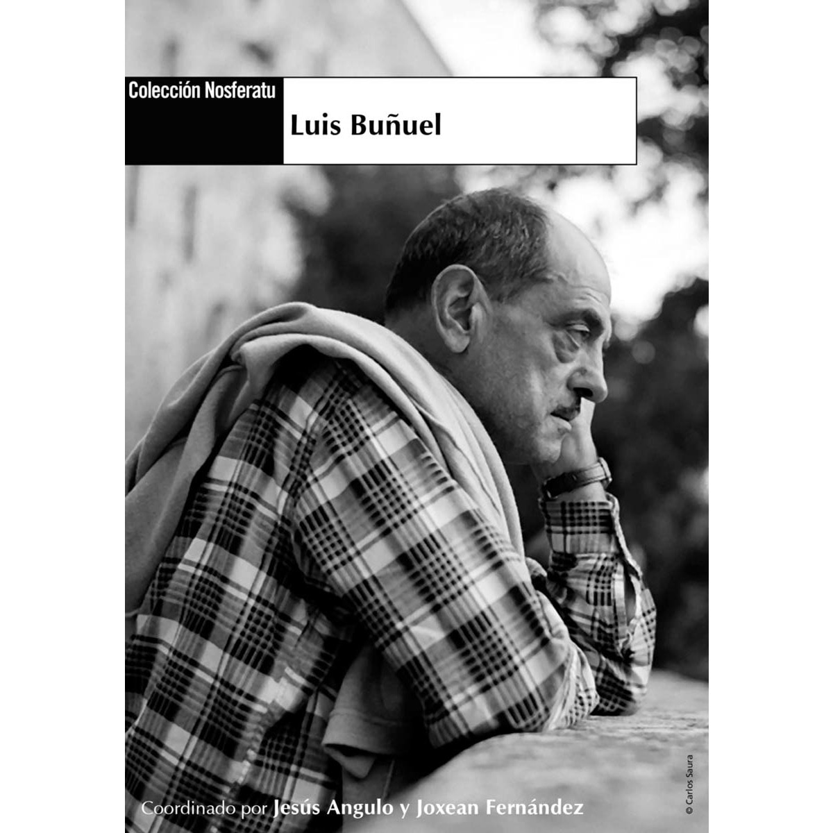 Imagem 0 de Luis buñuel