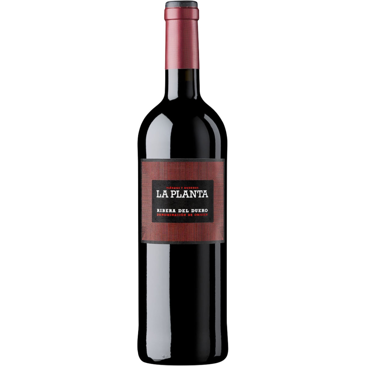 vino tinto roble 6 meses DO Ribera del Duero botella 75 cl