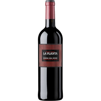 vino tinto roble 6 meses DO Ribera del Duero botella 75 cl - La Planta