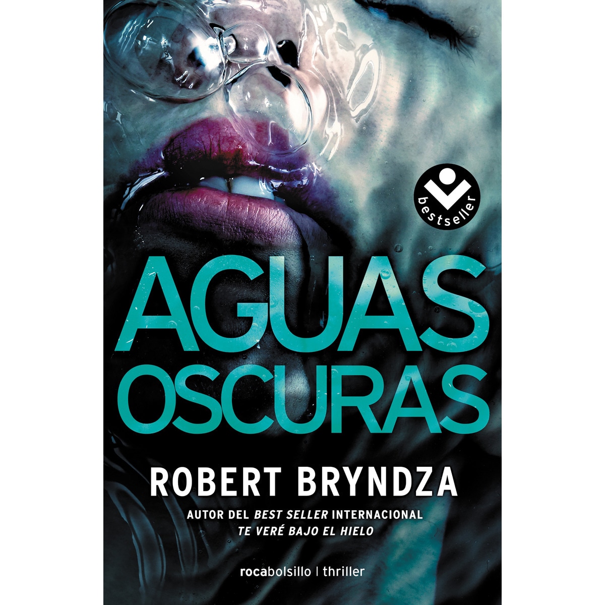 Imagen 0 de Aguas oscuras (Serie Erika Foster 3)  (Bolsillo) (Tapa blanda)