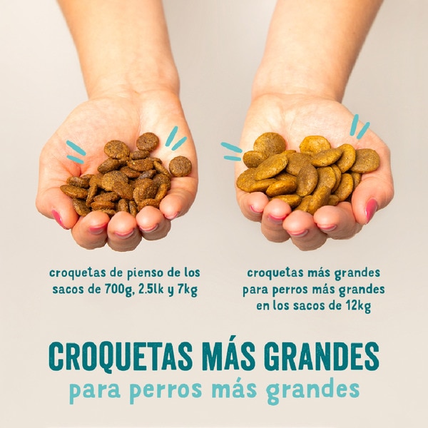 pienso para perros adultos con pollo Grain Free bolsa 2,5 kg