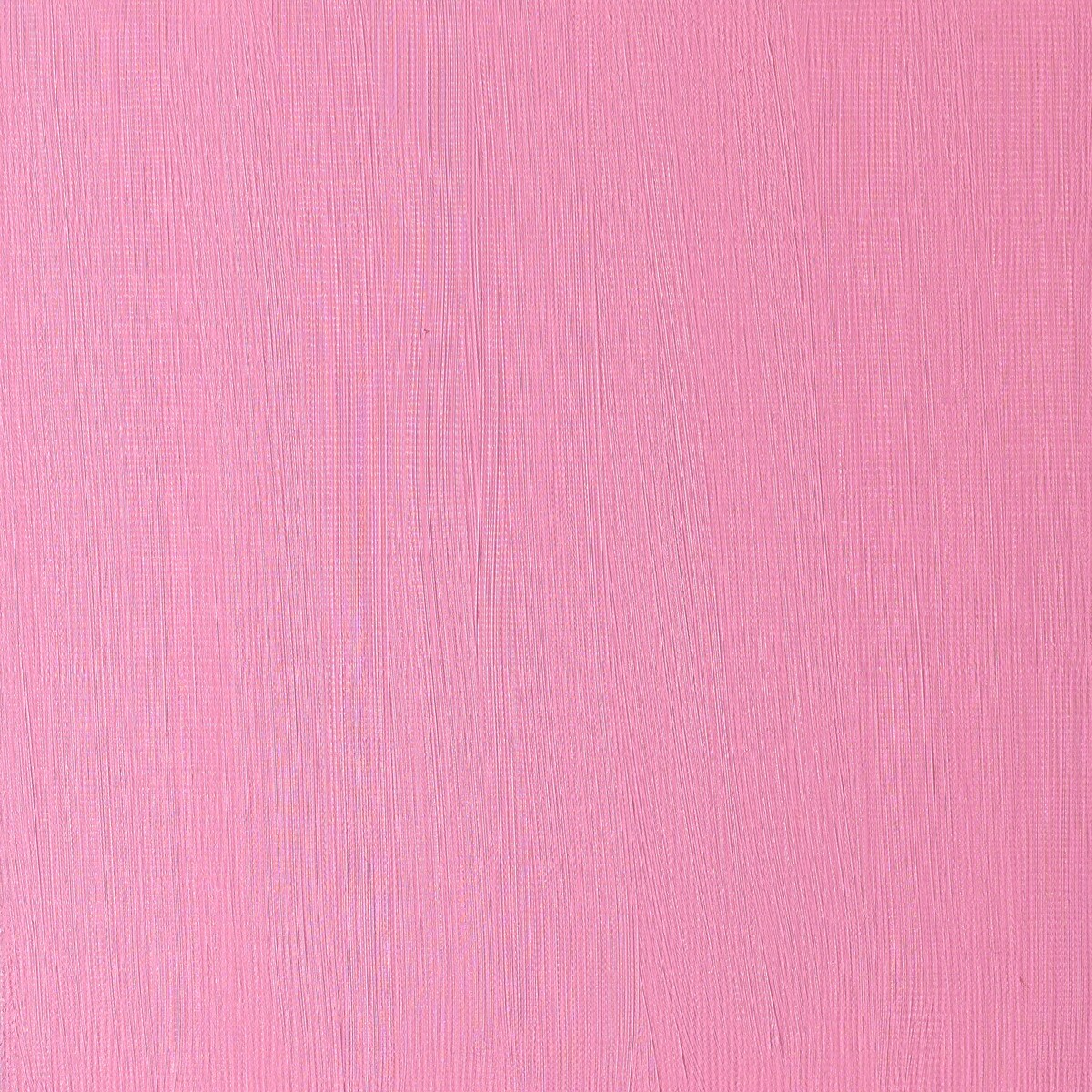 Tubo de Tinta a Óleo Winton Winsor & Newton 200 ml Rosa Permanente 4