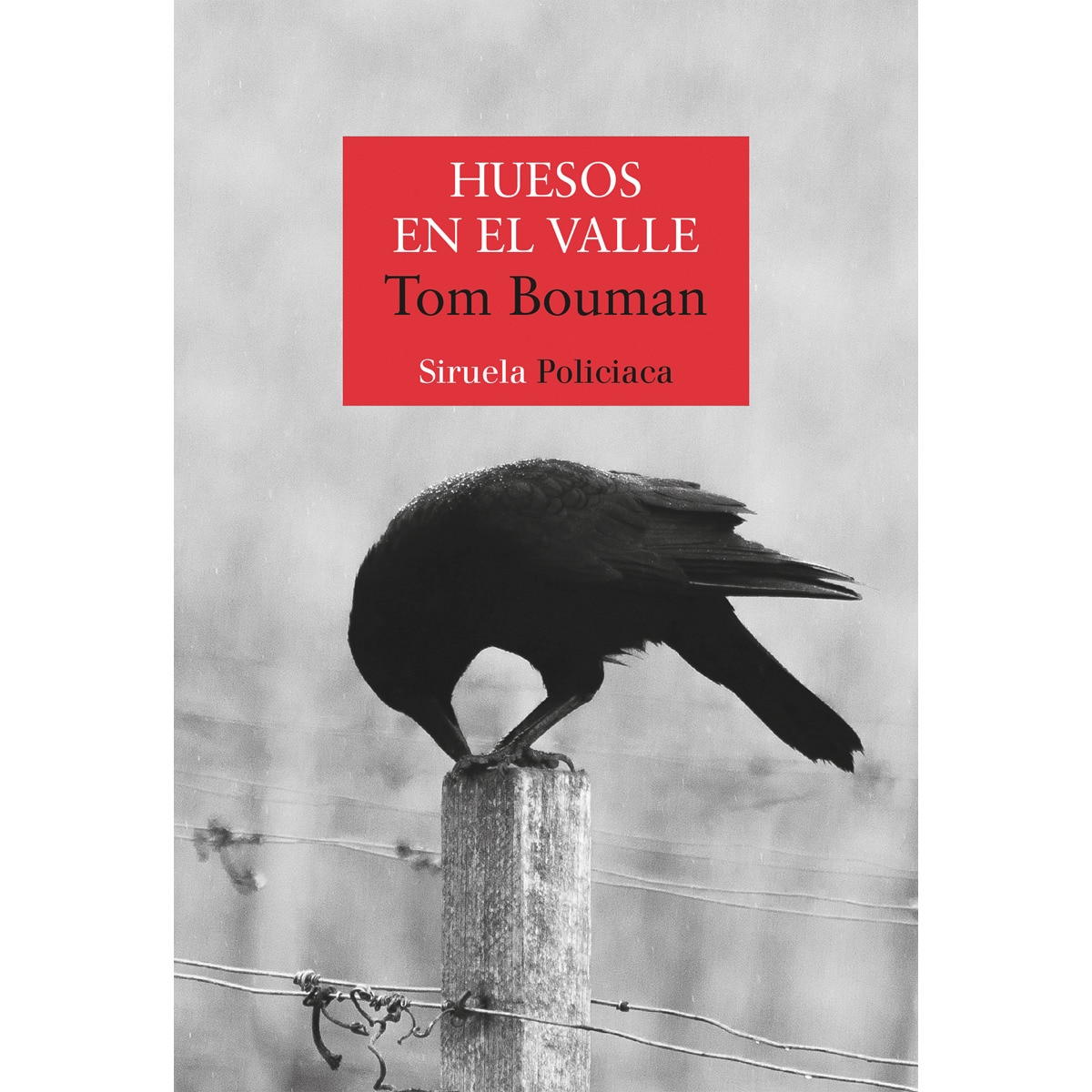 Huesos en el valle (Capa mole com abas) 1