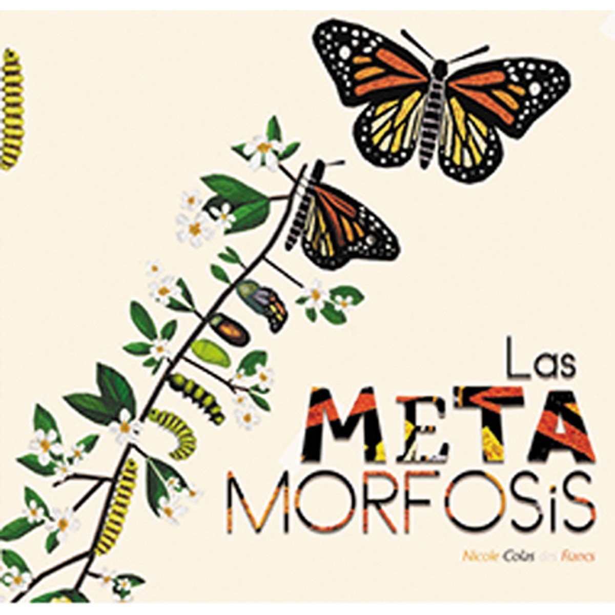 Las metamorfosis(Tapa dura) 1