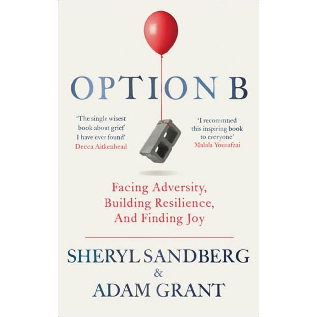 Option B 1