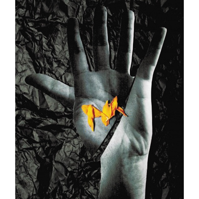 Imagem 0 de Un invierno sin sol(Tapa blanda)