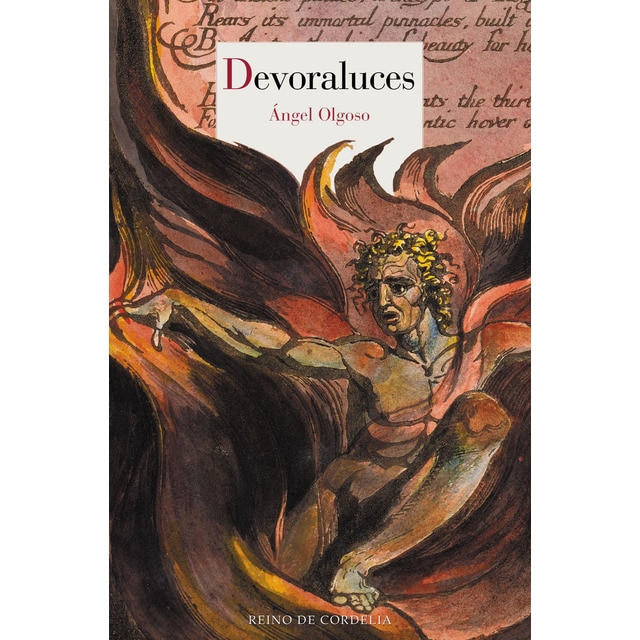 Imagem 0 de Devoraluces(Tapa blanda)