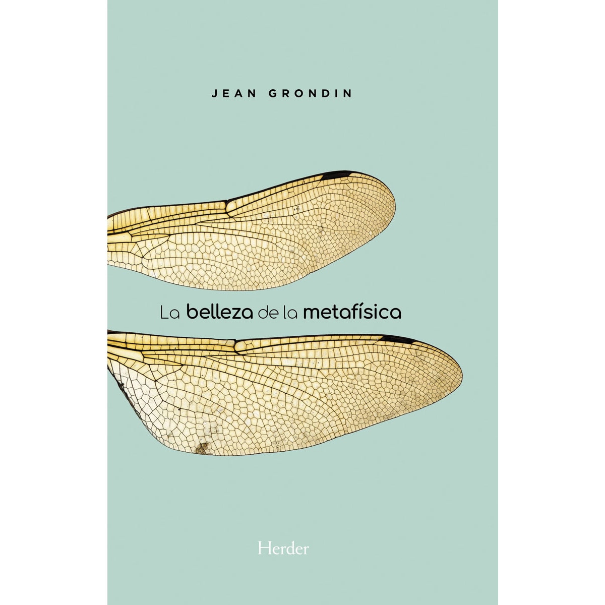 Imagem 0 de La belleza de la metafísica: Ensayo sobre sus pilares hermenéuticos (Capa mole com abas)