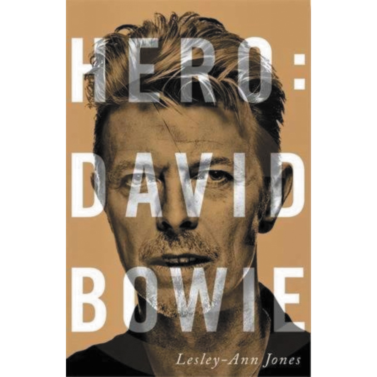 Hero: David Bowie (Capa mole) 1