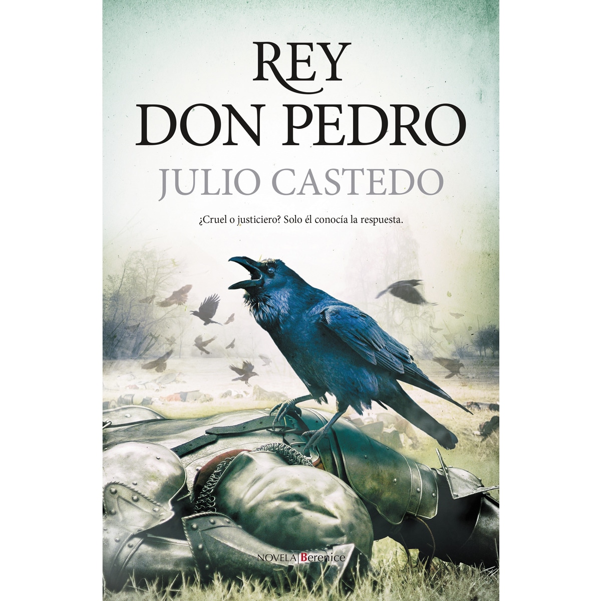 Rey don pedro(Tapa blanda) 1