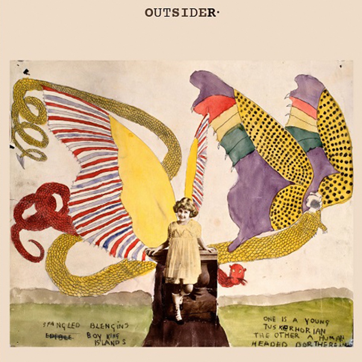 Imagem 0 de Outsider (LP-Vinil)