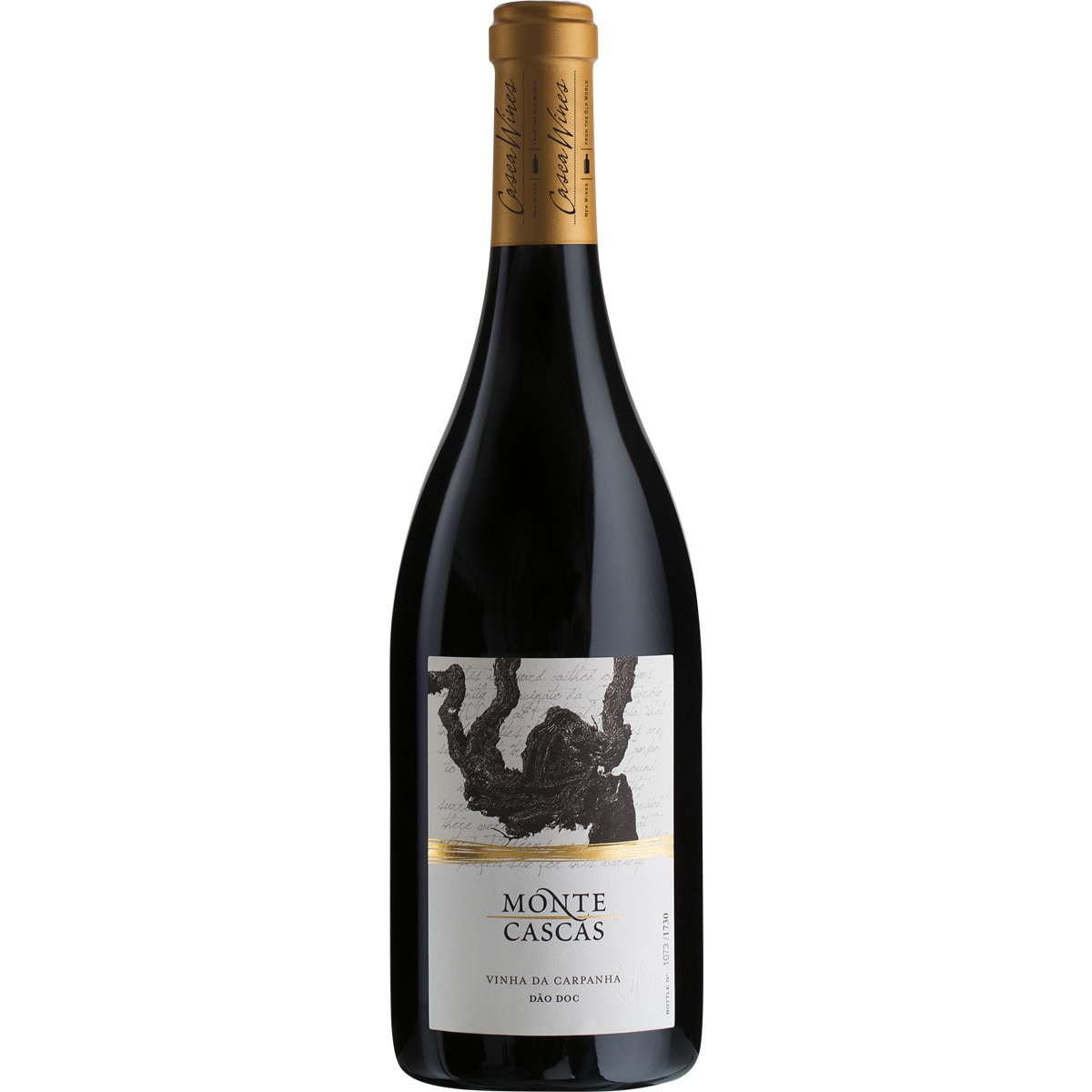 Vinho Tinto do Dão 2010 Vinha da Carpanha garrafa 75 cl