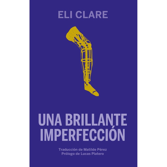 Imagen 0 de Una brillante imperfección (Tapa blanda)