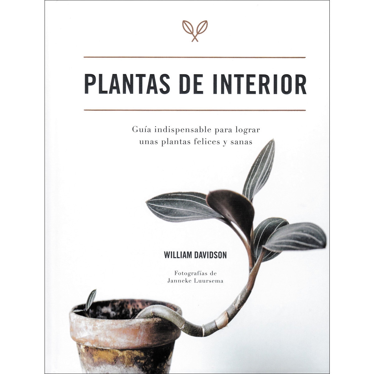 Imagem 0 de Plantas de interior