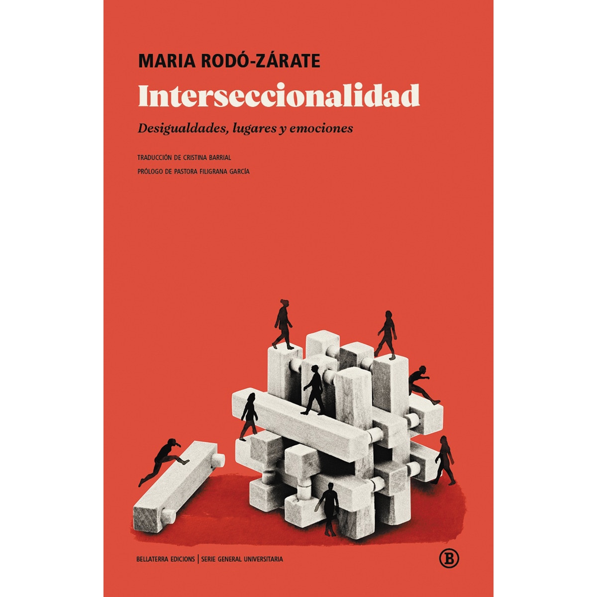 Imagem 0 de Interseccionalidad: Desigualdades, lugares y emociones