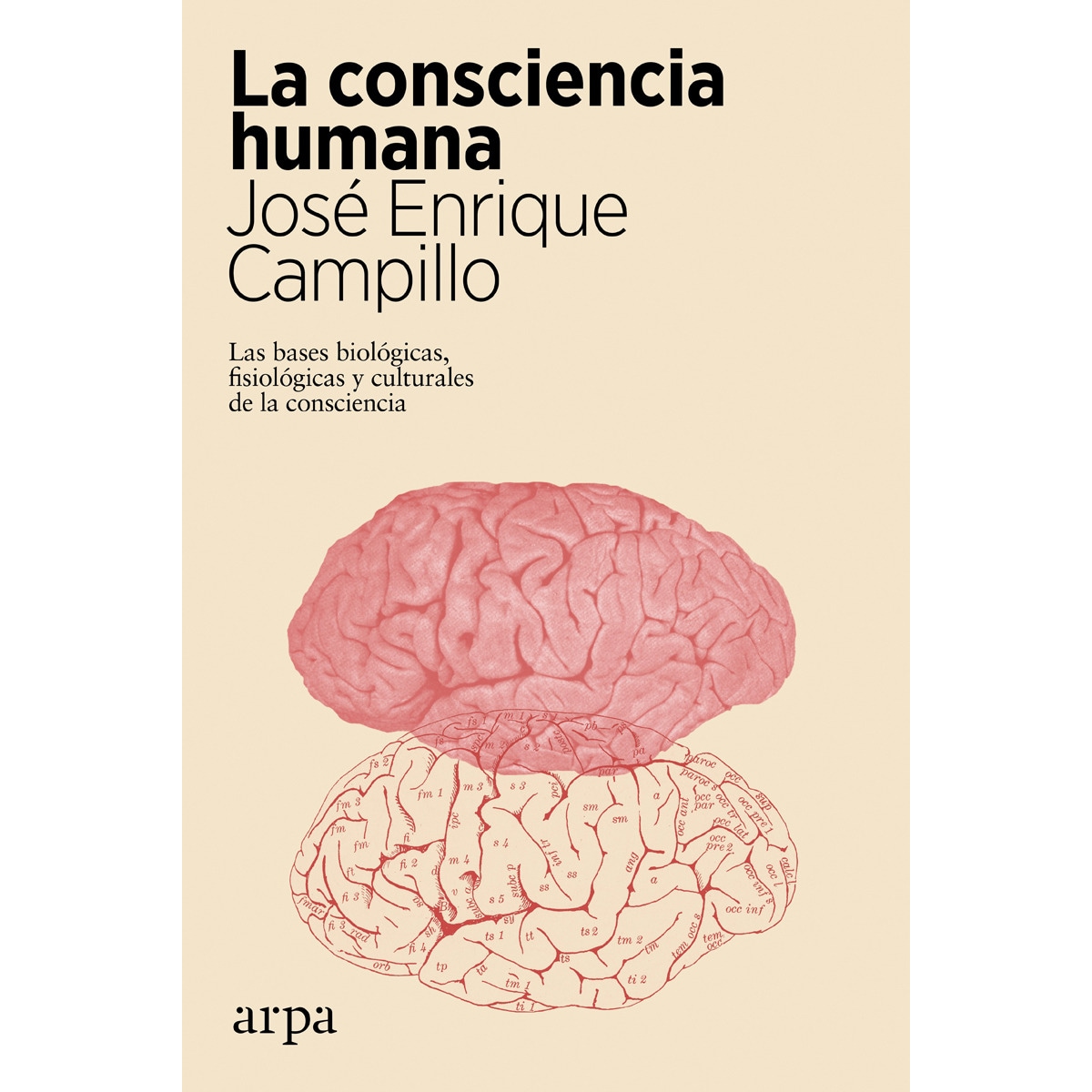 La consciencia humana 1