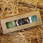 Assortment of sheep's cheese mini rolls from Extremadura 3x150 g case 460 g