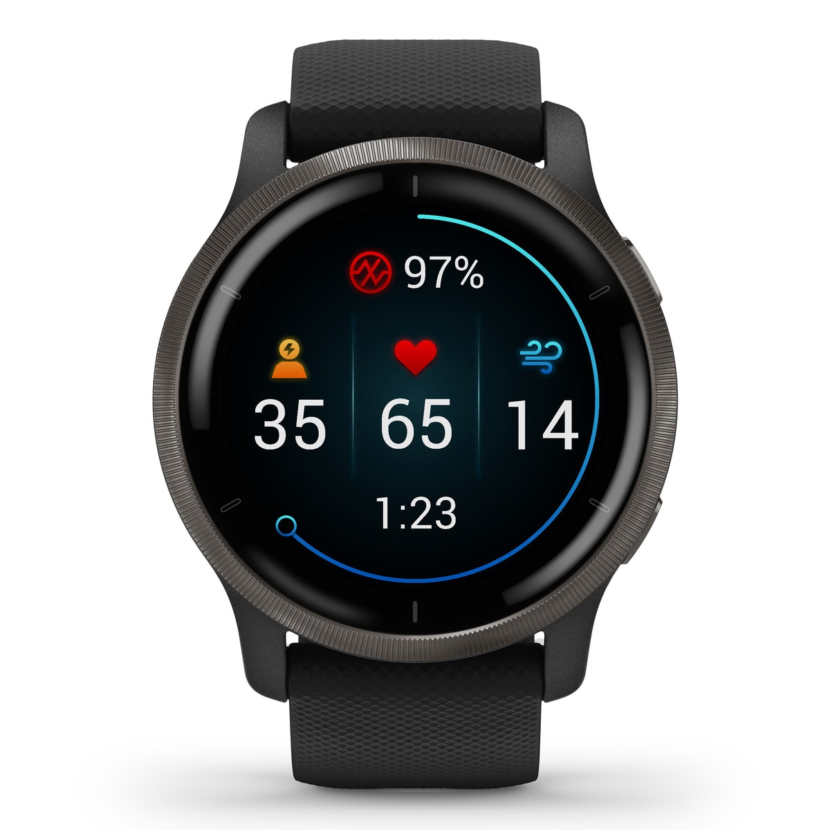 Smartwatch Garmin Venu 2 - Preto Preto-2