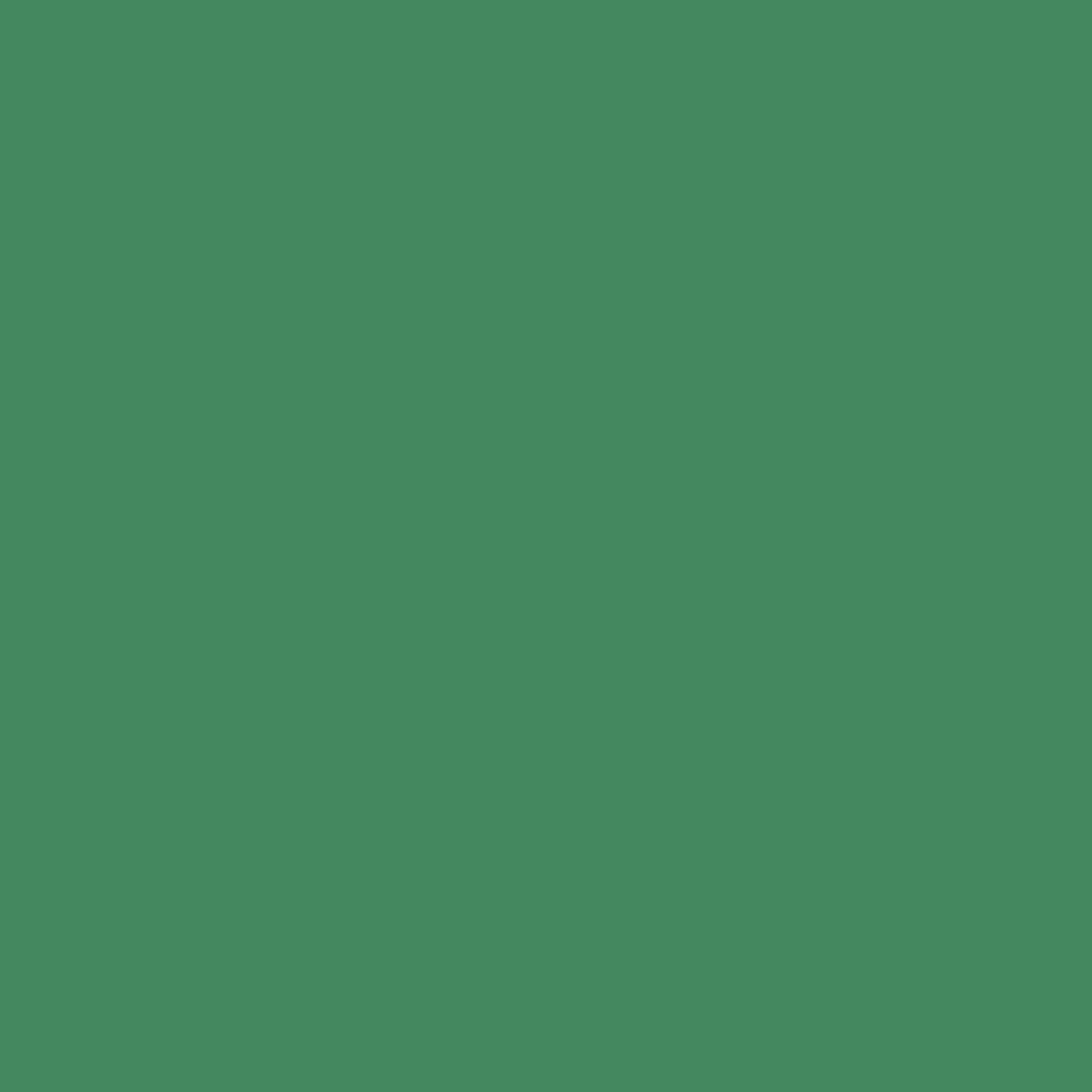 Vinilo Cricut Premium Permanente Básicos (Rojo, Naranja, Amarillo, Verde Claro, Verde Oscuro, Azul) 4