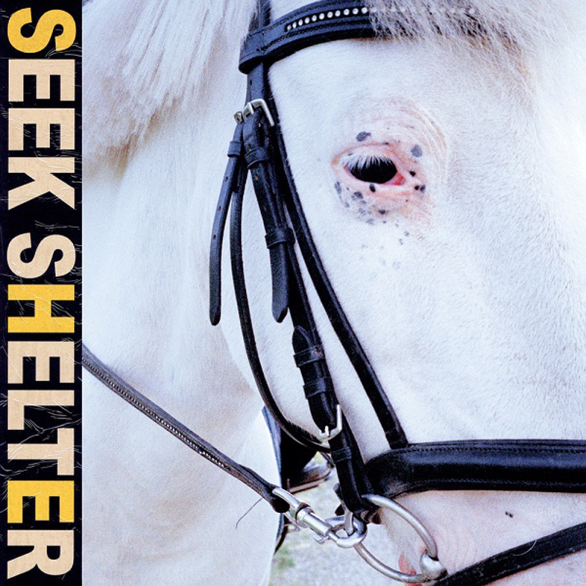 Imagem 0 de Seek Shelter (LP-Vinil)