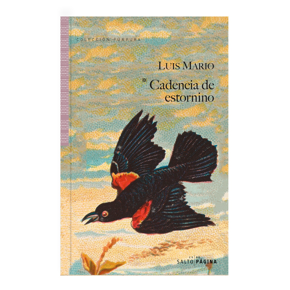 Cadencia de estornino (Capa mole com abas) 1