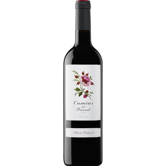 vino tinto DOCa Priorat botella 75 cl - Camins Del Priorat
