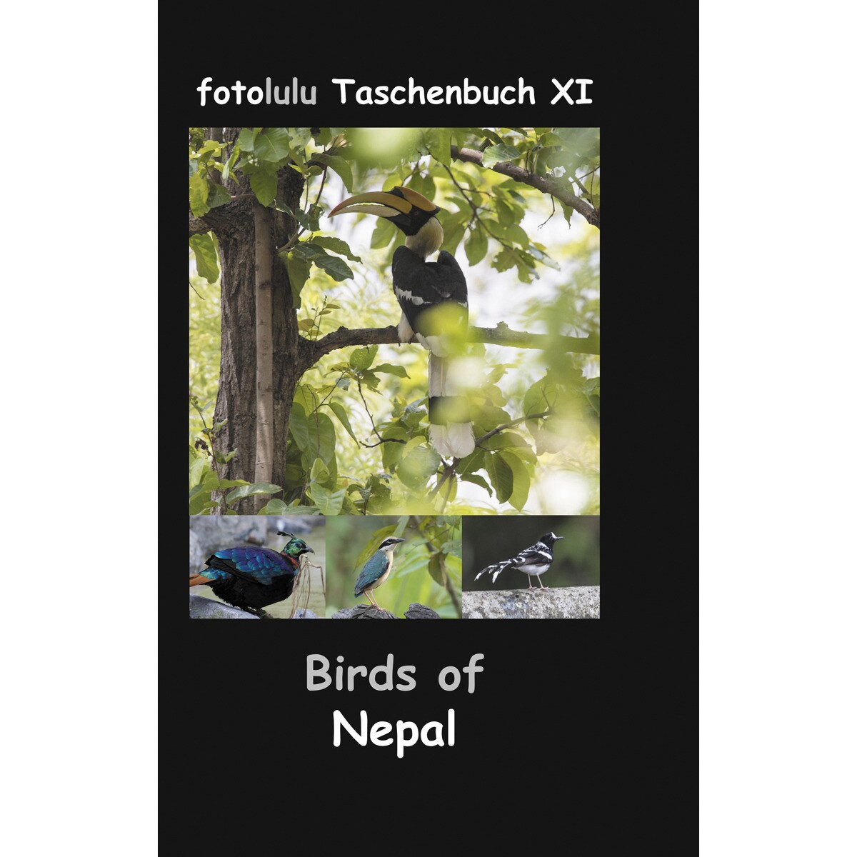 Birds of Nepal 1