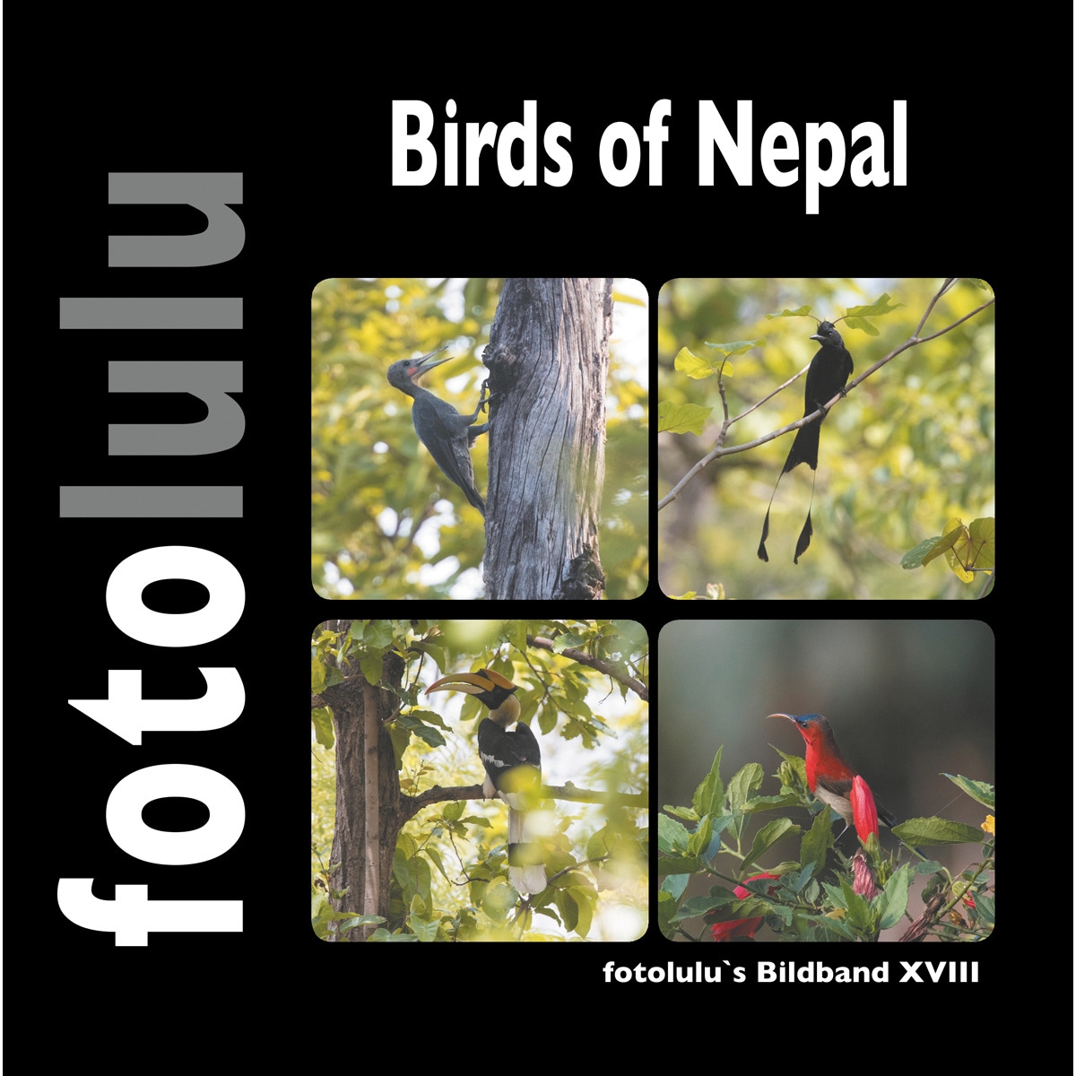 Birds of Nepal 1