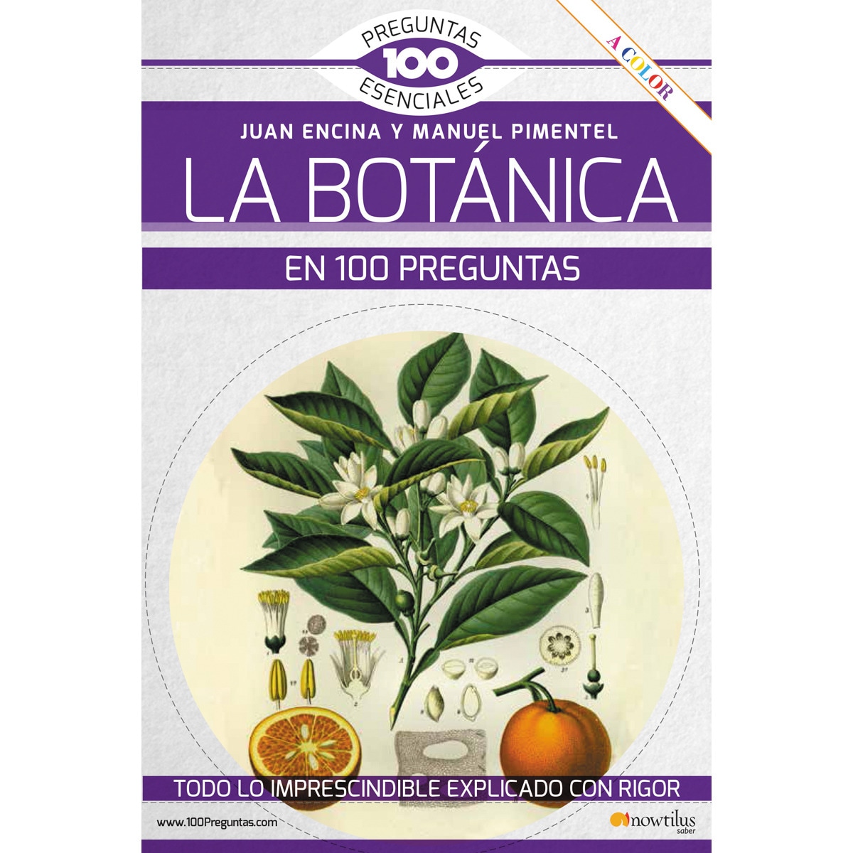 Imagem 0 de La botánica en 100 preguntas (Capa mole com abas)