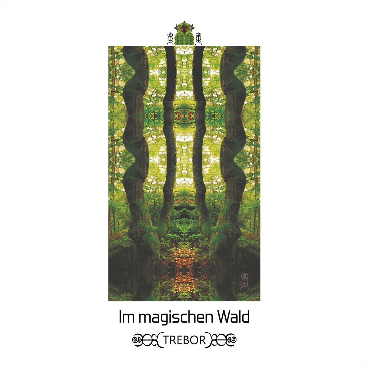 Im magischen Wald (Capa mole) 1